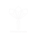 Tri-Web Genesis